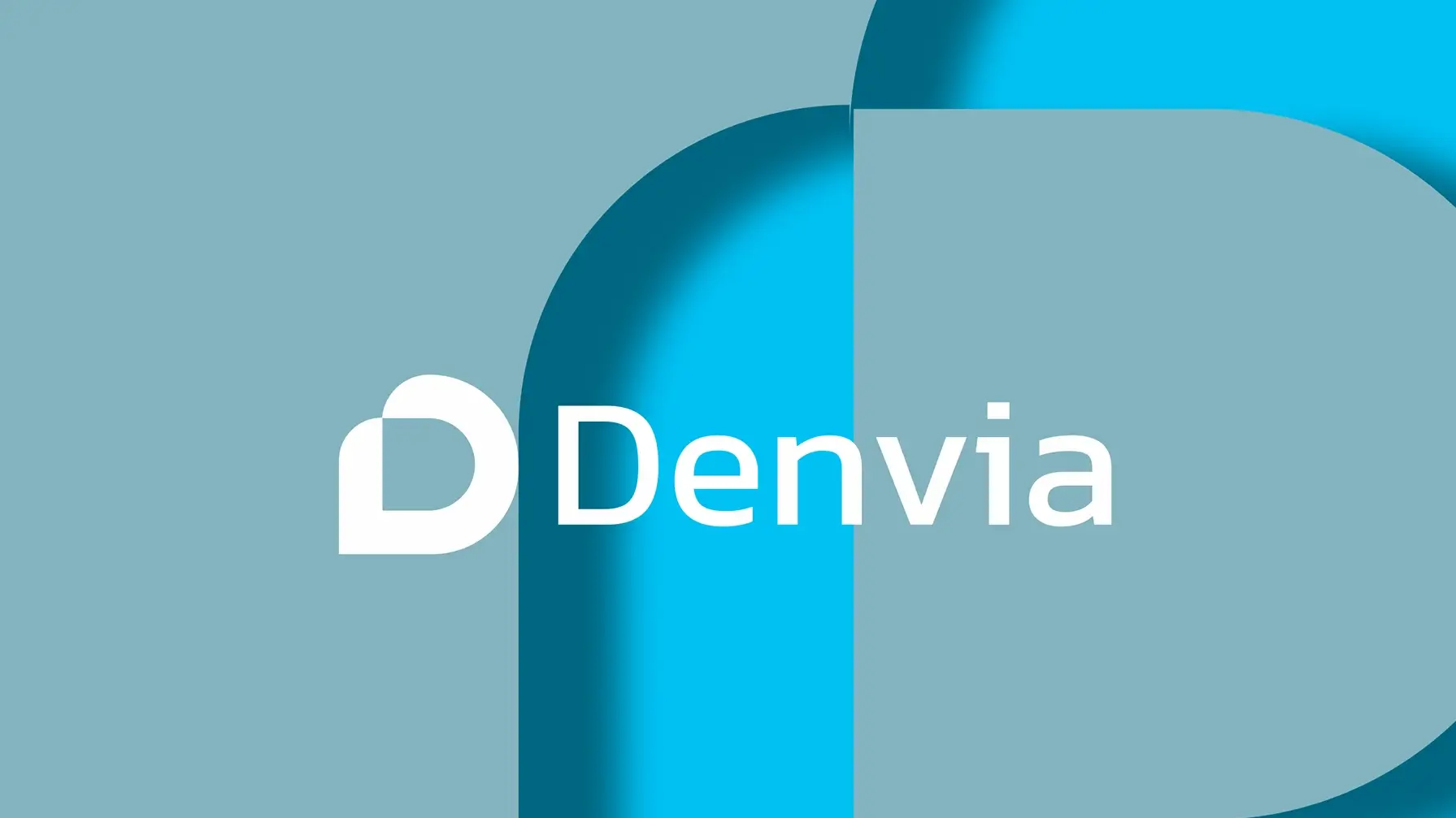 Denvi Logo 1